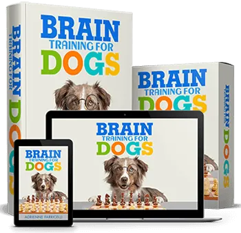 Brain Training for Dogs program by Adrienne Farricelli