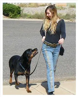 Adrienne Farricelli creator of Brain Training for Dogs