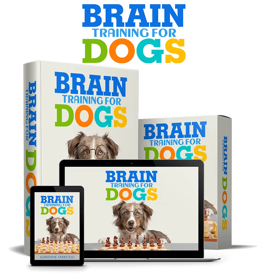 Order Brain Training for Dogs now
